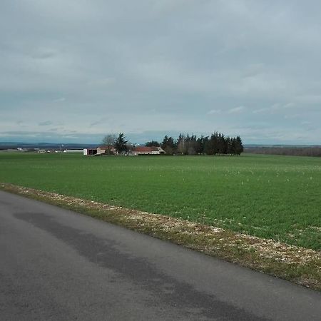 Maison Entiere Independante Noyers-sur-Serein Eksteriør bilde