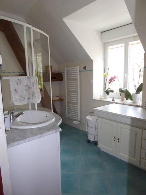Maison Entiere Independante Noyers-sur-Serein Eksteriør bilde